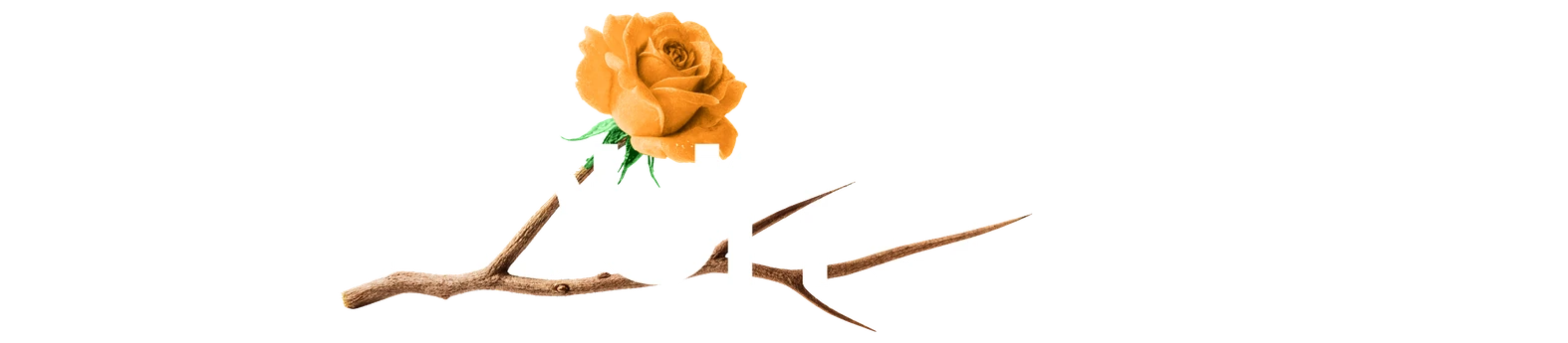 Villa Buriti